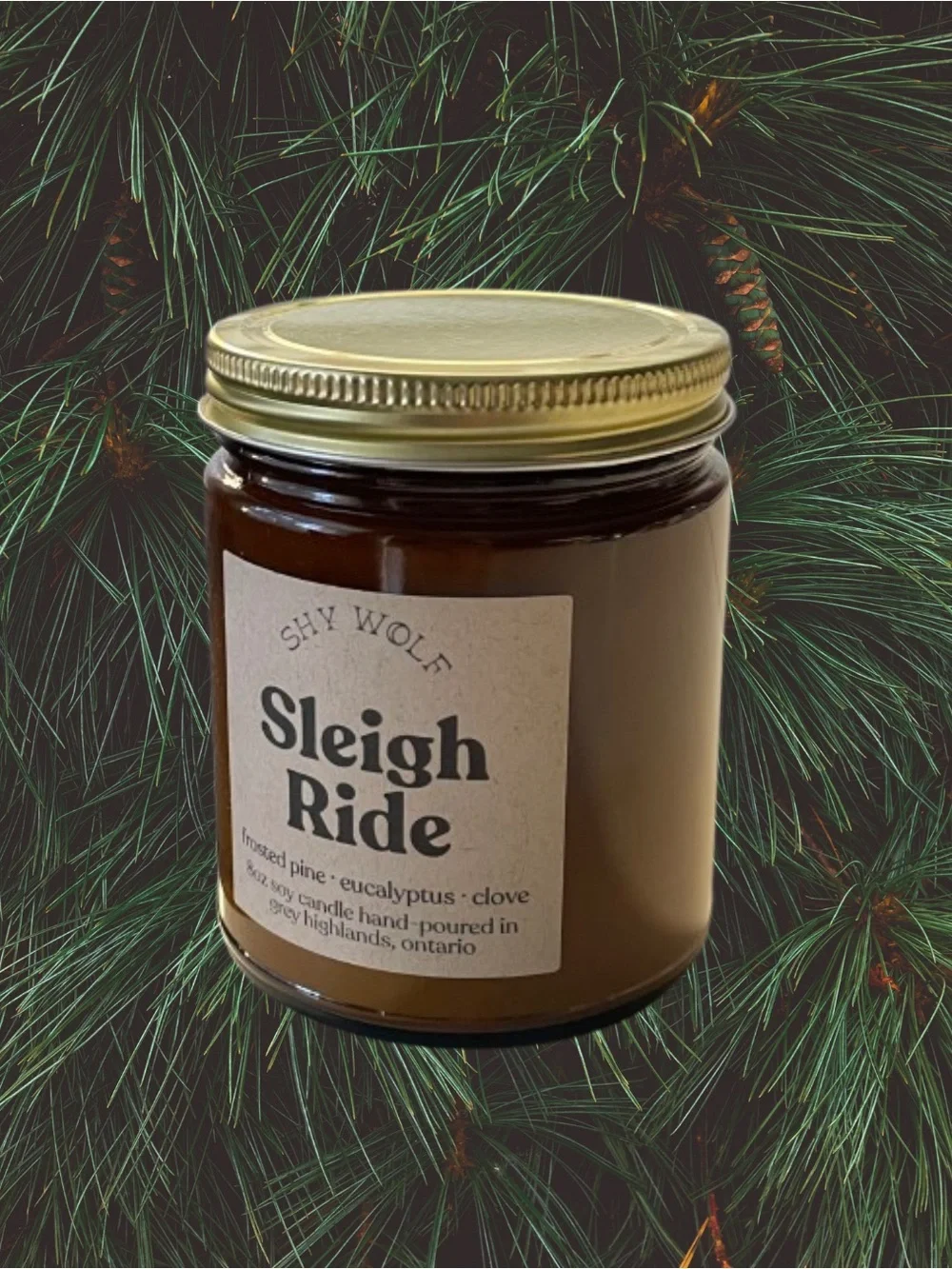 Shy Wolf Sleigh Ride 8 oz candle unused frosted pine eucalyptus clove